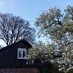 Klavertje 4 In Gld