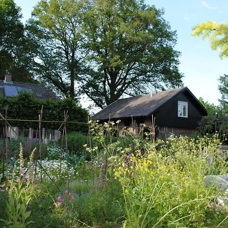 Klavertje 4 In Gld Laren (Gelderland)