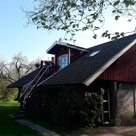 Klavertje 4 In Gld *