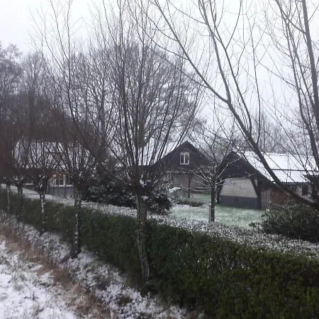 Klavertje 4 In Gld Laren