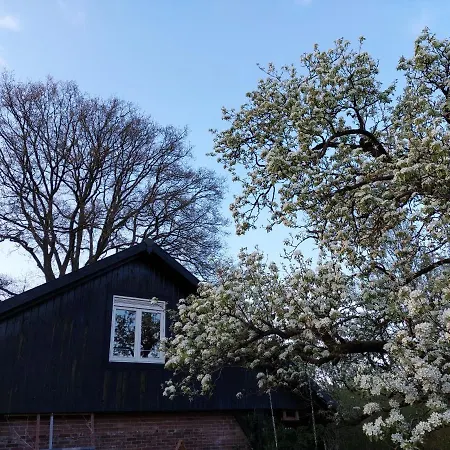 Klavertje 4 In Gld