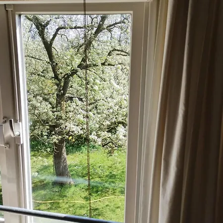 Klavertje 4 In Gld *