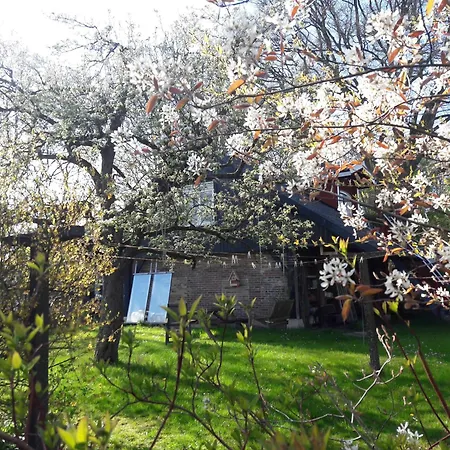 Apartmán Klavertje 4 In Gld