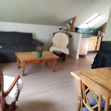 Klavertje 4 In Gld * Ларен