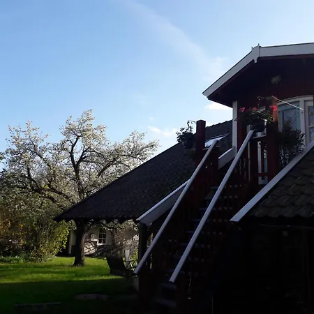 Klavertje 4 In Gld Laren (Gelderland)