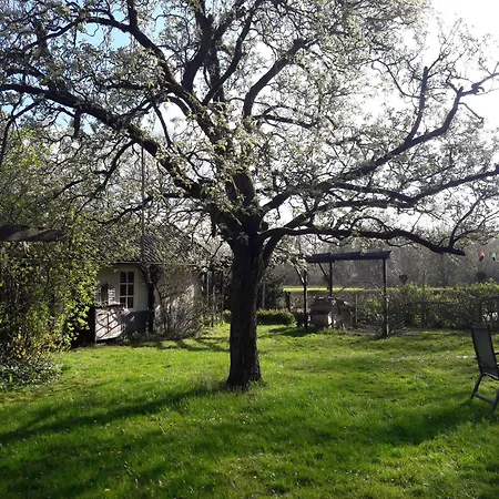 Apartmán Klavertje 4 In Gld