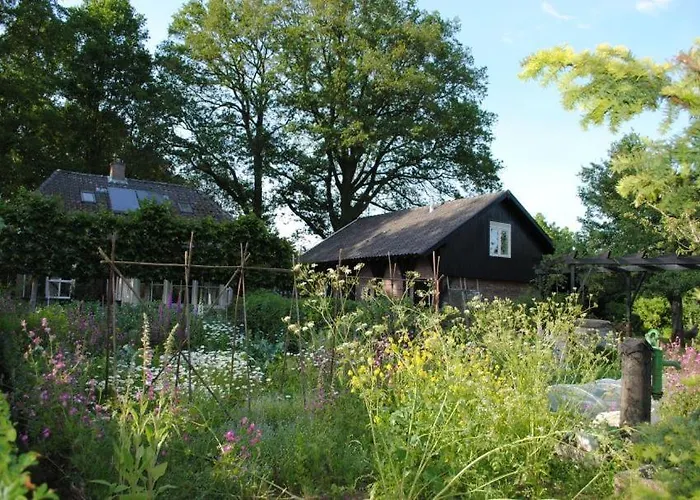 Klavertje 4 In Gld Laren