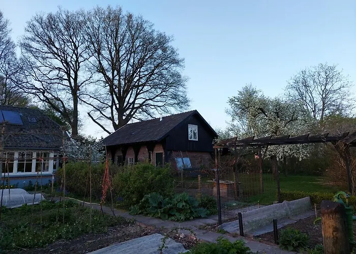 Klavertje 4 In Gld * Laren (Gelderland)