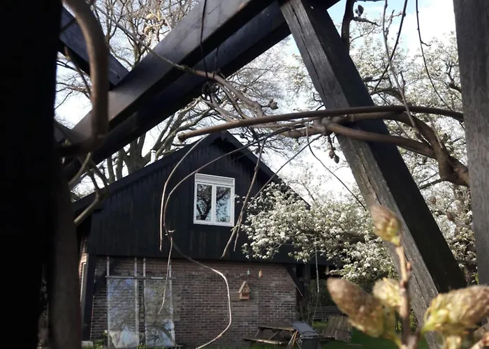 Klavertje 4 In Gld アパート *