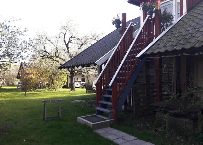 Klavertje 4 In Gld *