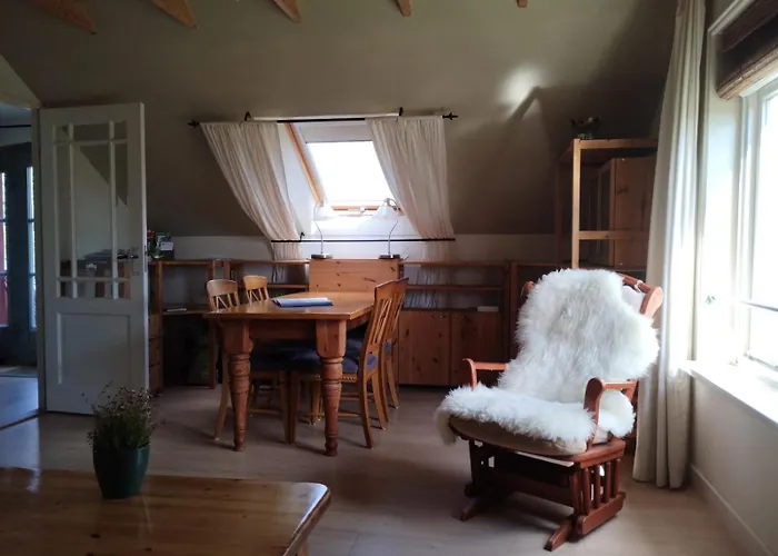 Klavertje 4 In Gld * Laren