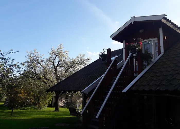 Klavertje 4 In Gld Laren