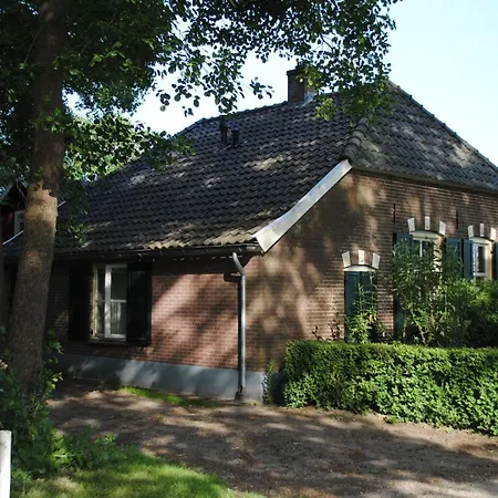 Klavertje 4 In Gld