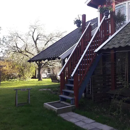 Klavertje 4 In Gld *