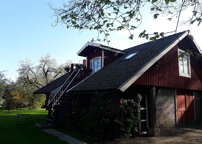 Klavertje 4 In Gld *