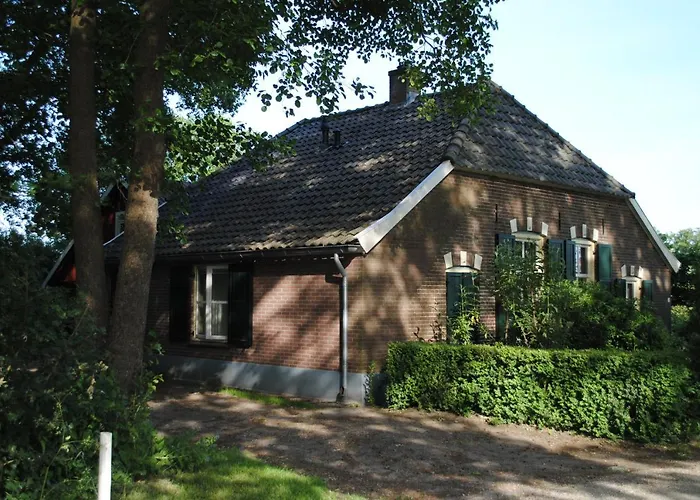 Klavertje 4 In Gld