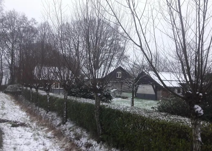 Klavertje 4 In Gld Laren (Gelderland)