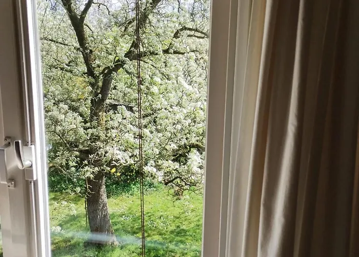 Klavertje 4 In Gld *