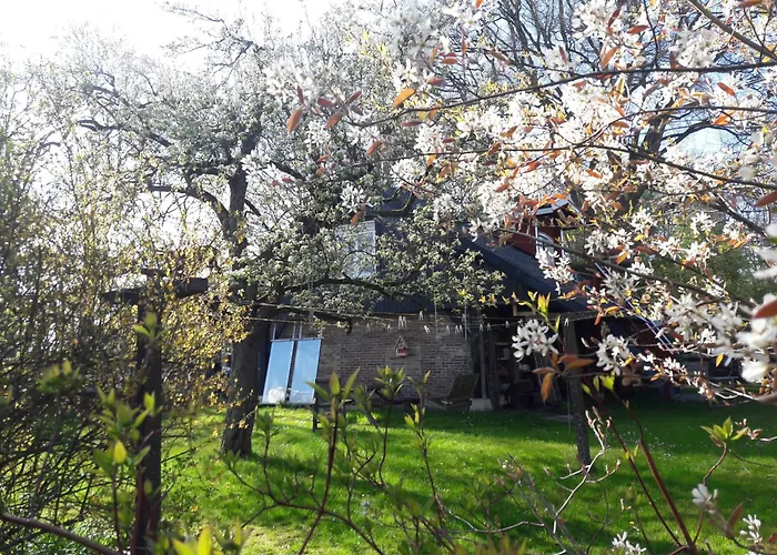 Apartamento Klavertje 4 In Gld